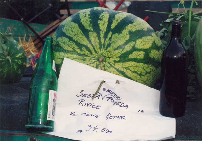 dani_bostana_rivica03.jpg