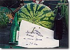 dani_bostana_rivica03.jpg